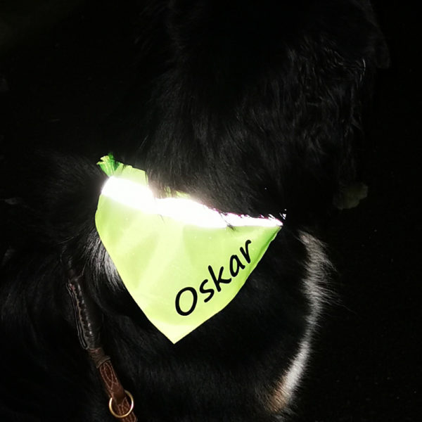 Hundehalsband neongelb reflektierend - mit Name